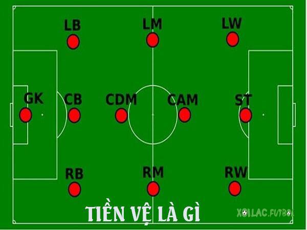 Tiền vệ là gì? Phân loại tiền vệ